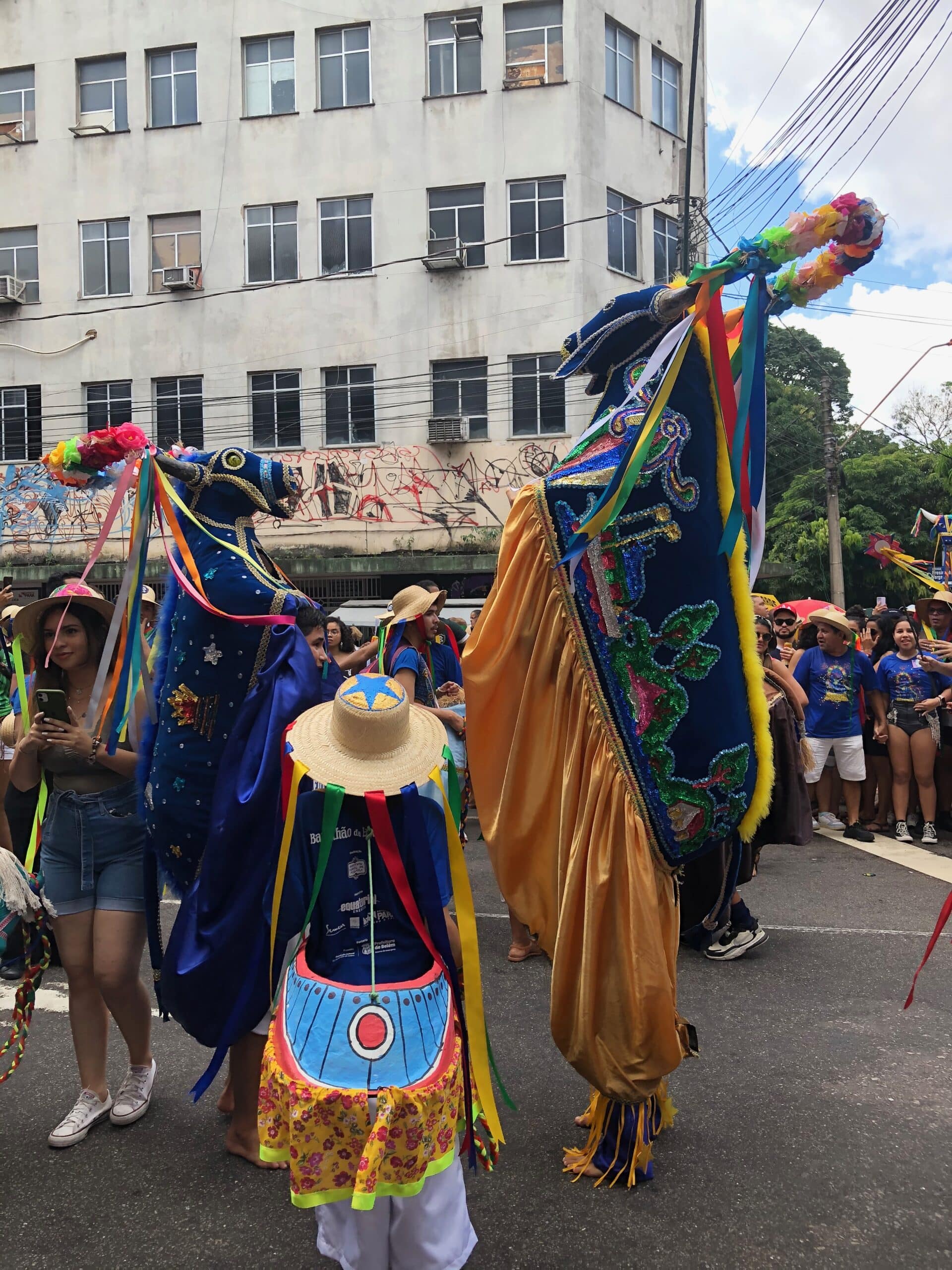 Un bœuf ressuscité, la star du Pavulagem lors du dernier Arrastão (défilé), Belém, capitale de l'État du Pará, nord du Brésil.