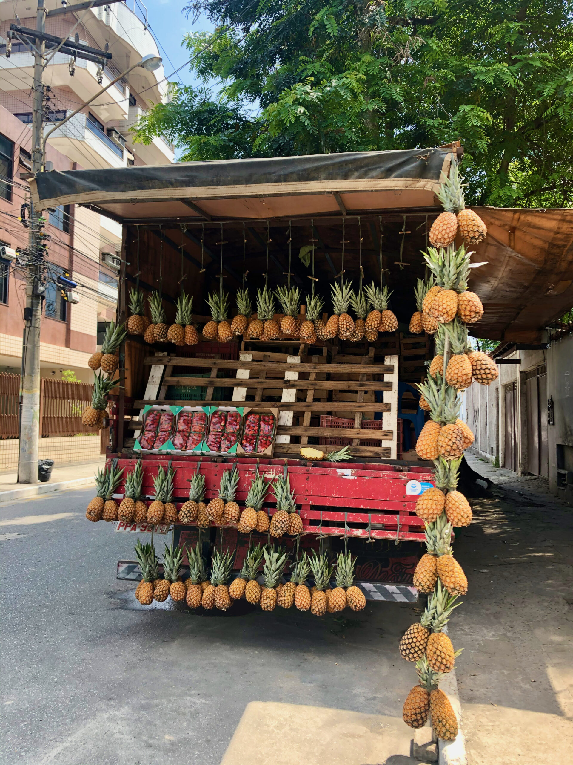 Mardi 31 octobre 2023 vers 13 heures, rua Jorge Lóssio, au centre de Cabo Frio (État de Rio de Janeiro sur la côte nord de Rio), un stand d’ananas bien achalandé !