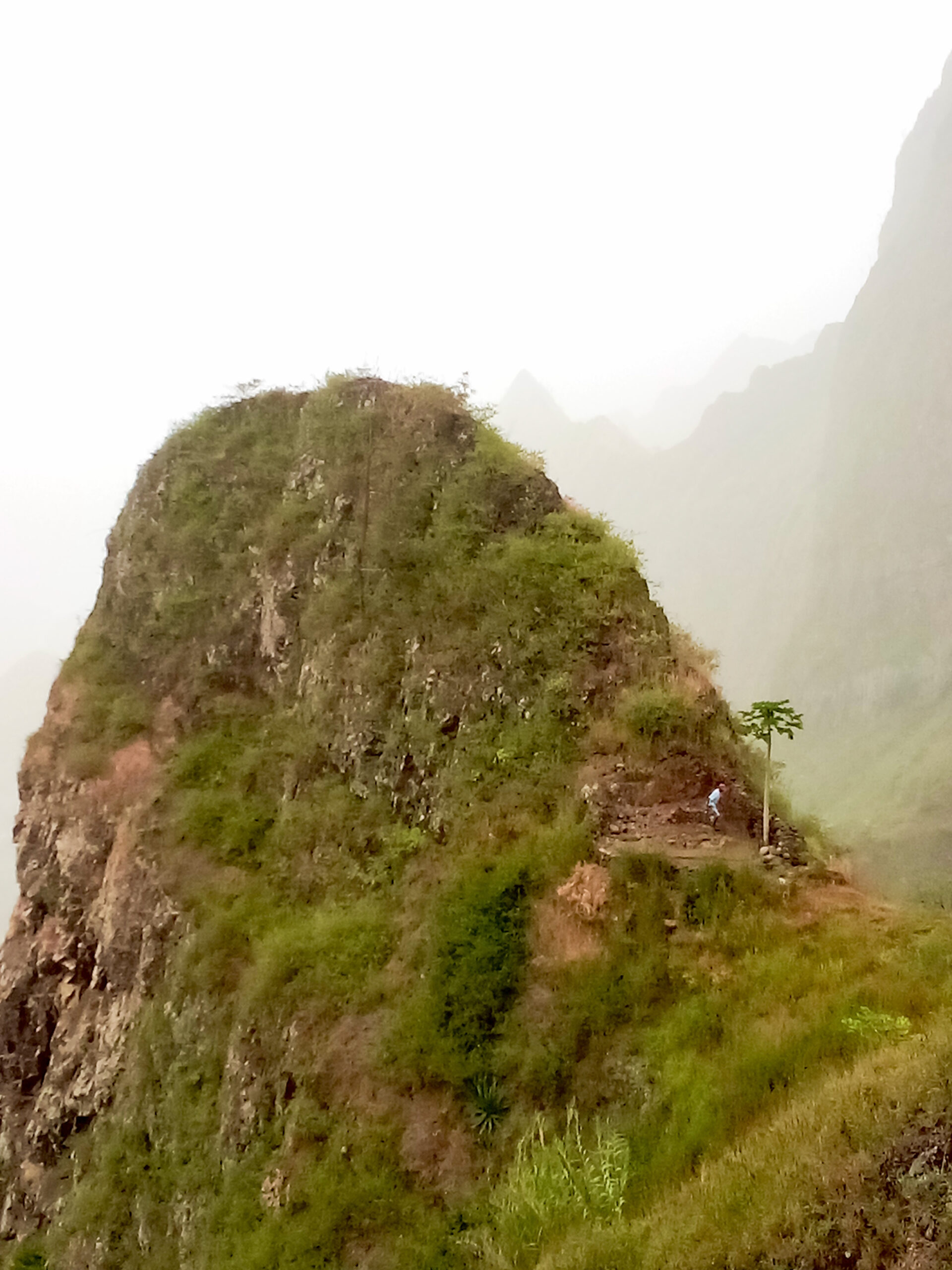 À Santo Antão au Cap-Vert, où cultiver est une forme d’alpinisme, les chasseurs de nuages scrutent le ciel et les brouillards qui s’accrochent aux sommets de cette île volcanique pour y trouver de l’eau de pluie qui ne tombe pas.