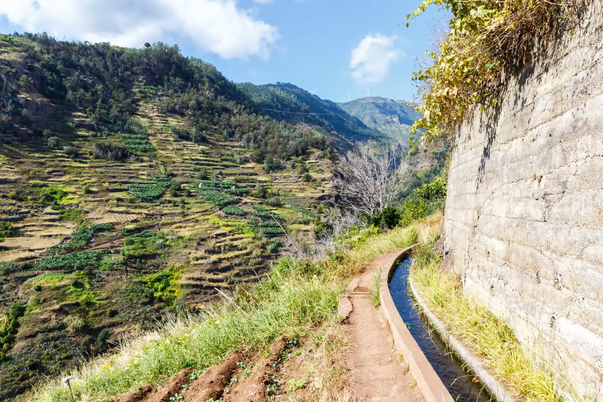 Partant de Tabua (commune de Ribeira Brava, côte sud-ouest de Madère) et remontant vers l’intérieur, la levada Nova irrigue sur son parcours de 9 km de nombreuses cultures en terrasses. Hiking trail along Levada Nova hike tour travel on Madeira island in Portugal