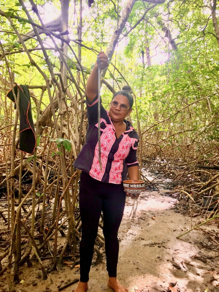 Nichée dans le delta de l'Amazone, Marajó, plus grande île fluviale au monde, abrite un animal fascinant : le turu, un mollusque à l’aspect vermiculaire. Mi-serpent mi-vairon, ce roi du camouflage se dissimule dans ses eaux sombres et se cache dans les arbres morts de ses mangroves. Symbole de connexion avec la nature et mets raffiné, il nourrit l’imaginaire et les papilles des communautés autochtones. Lancés sur ses traces, nous allons le dénicher, en douceur, dans les trous qu’il a creusés au cœur des palétuviers et le savourer, cru relevé d’un zeste de citron, en pleine forêt amazonienne.