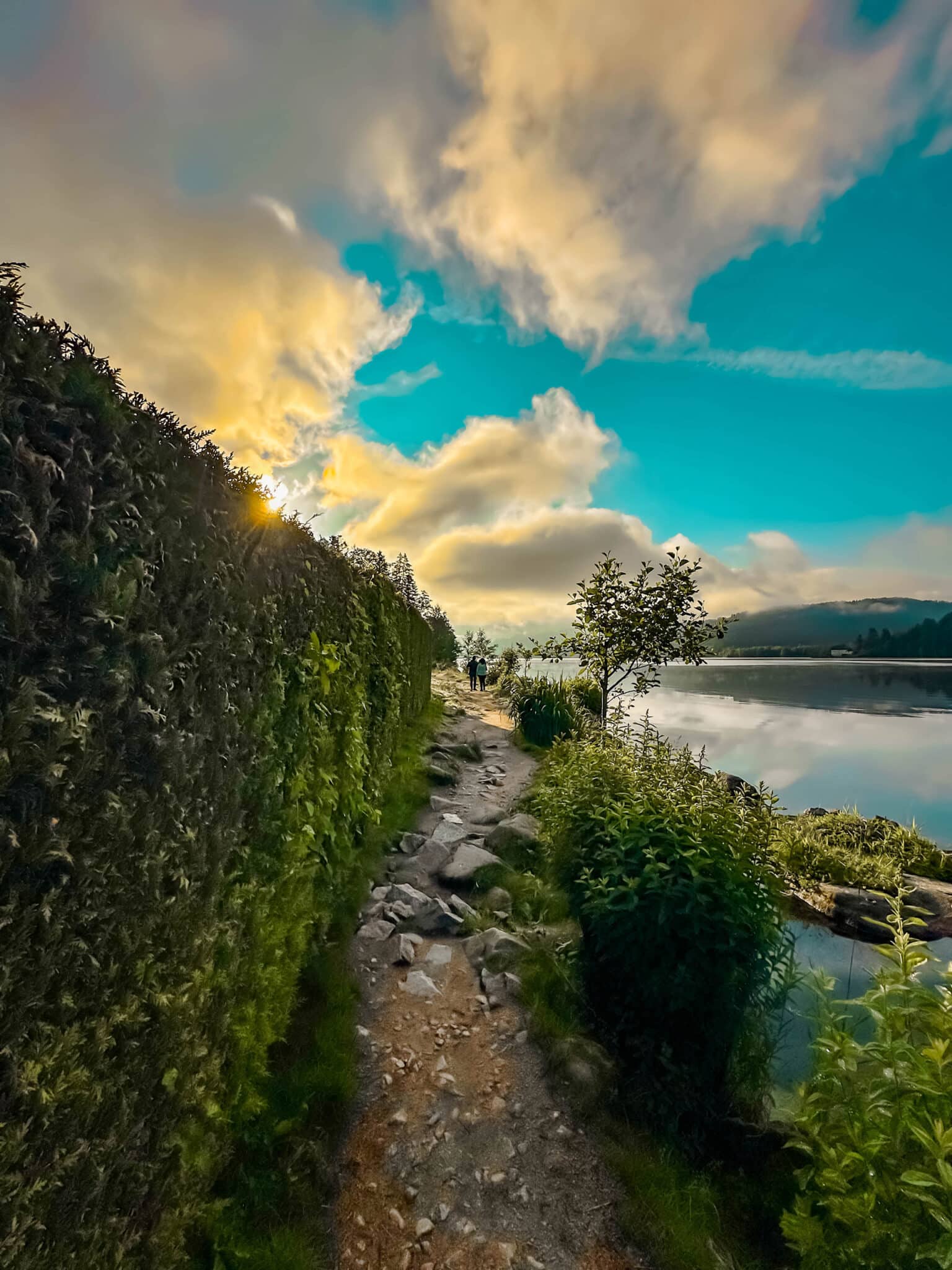 Randonnée autour du lac de Gerardmer dans les Hautes Vosges : le chemin du lac de Gérardmer au petit matin