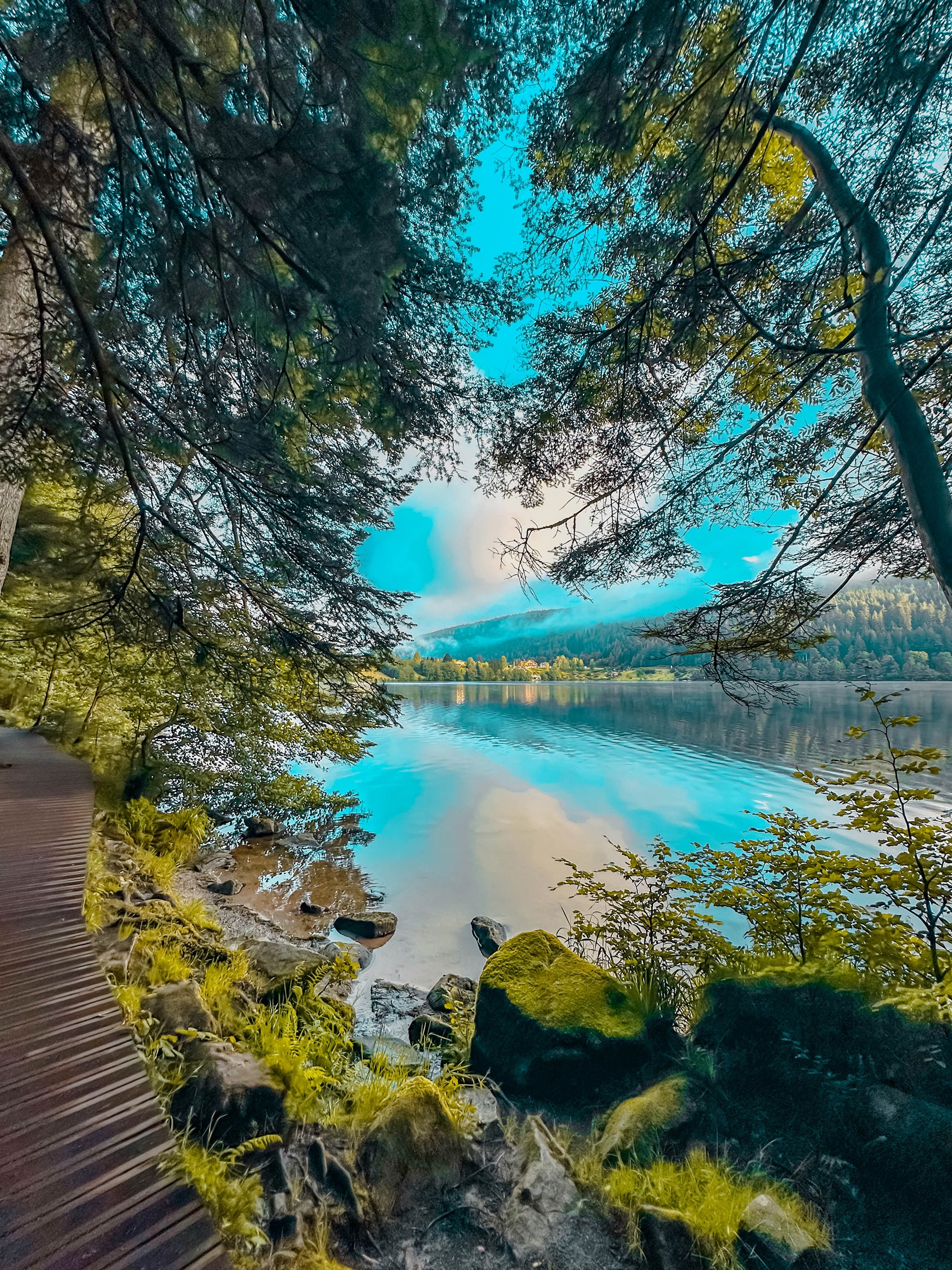 Randonnée autour du lac de Gerardmer dans les Hautes Vosges : le rivage du lac de Gérardmer au petit matin