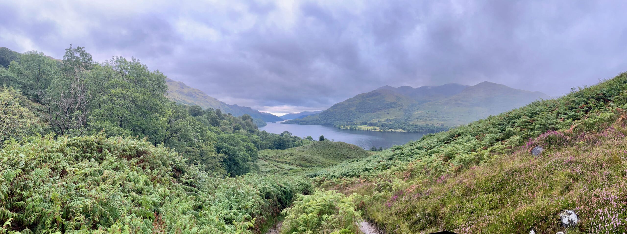 De Drymen à Inverarnan, le West Highland Way (WHW) suit le cours du Loch Lomond, plus grand lac d’Écosse.