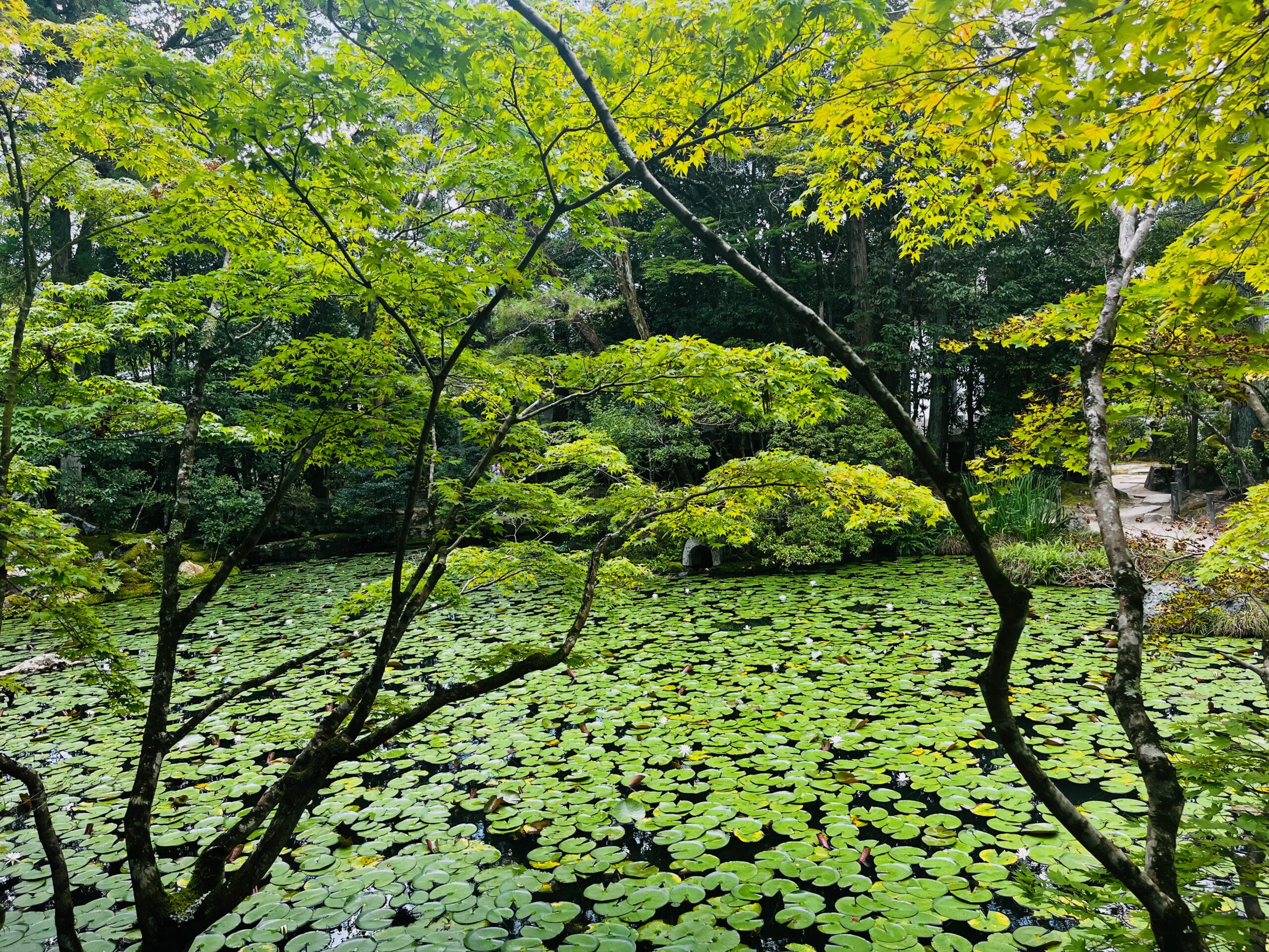 Japon-Kyoto-Nazen-Ji-temple-bouddhiste-bouddhisme-jardin-sec