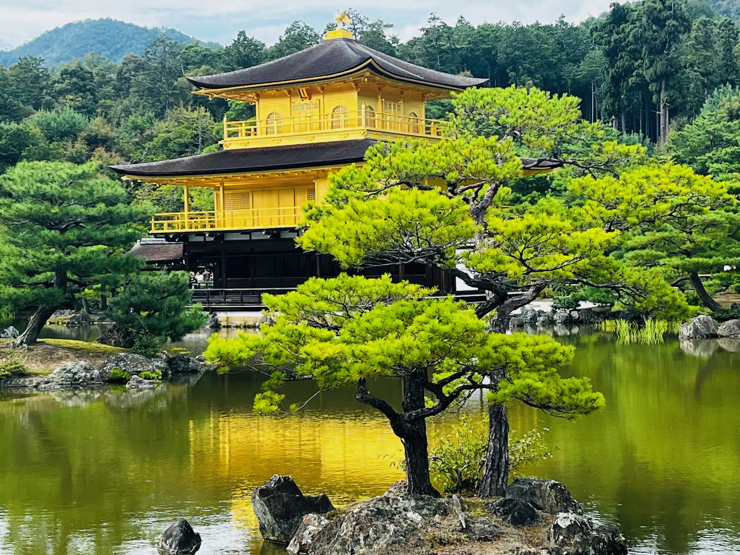 Japon-Kyoto-pavillon-d’or-Golden-PavilionKinkaku-ji-Rokuon-ji-jardin-garden-Kyoko-chi