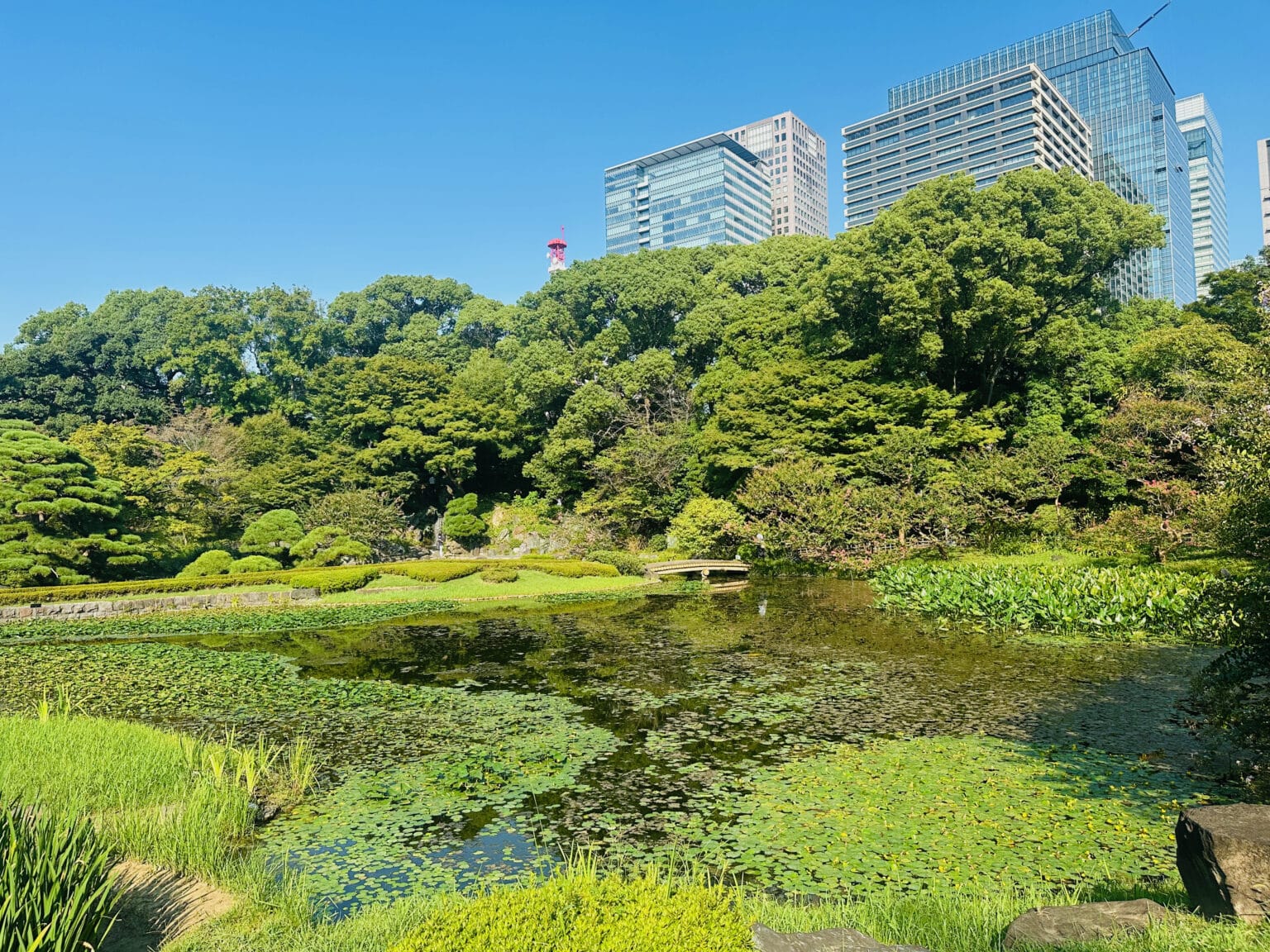 Japon-Tokyo-chateau-castle-Tokyo-jardin-garden-Seiryu en