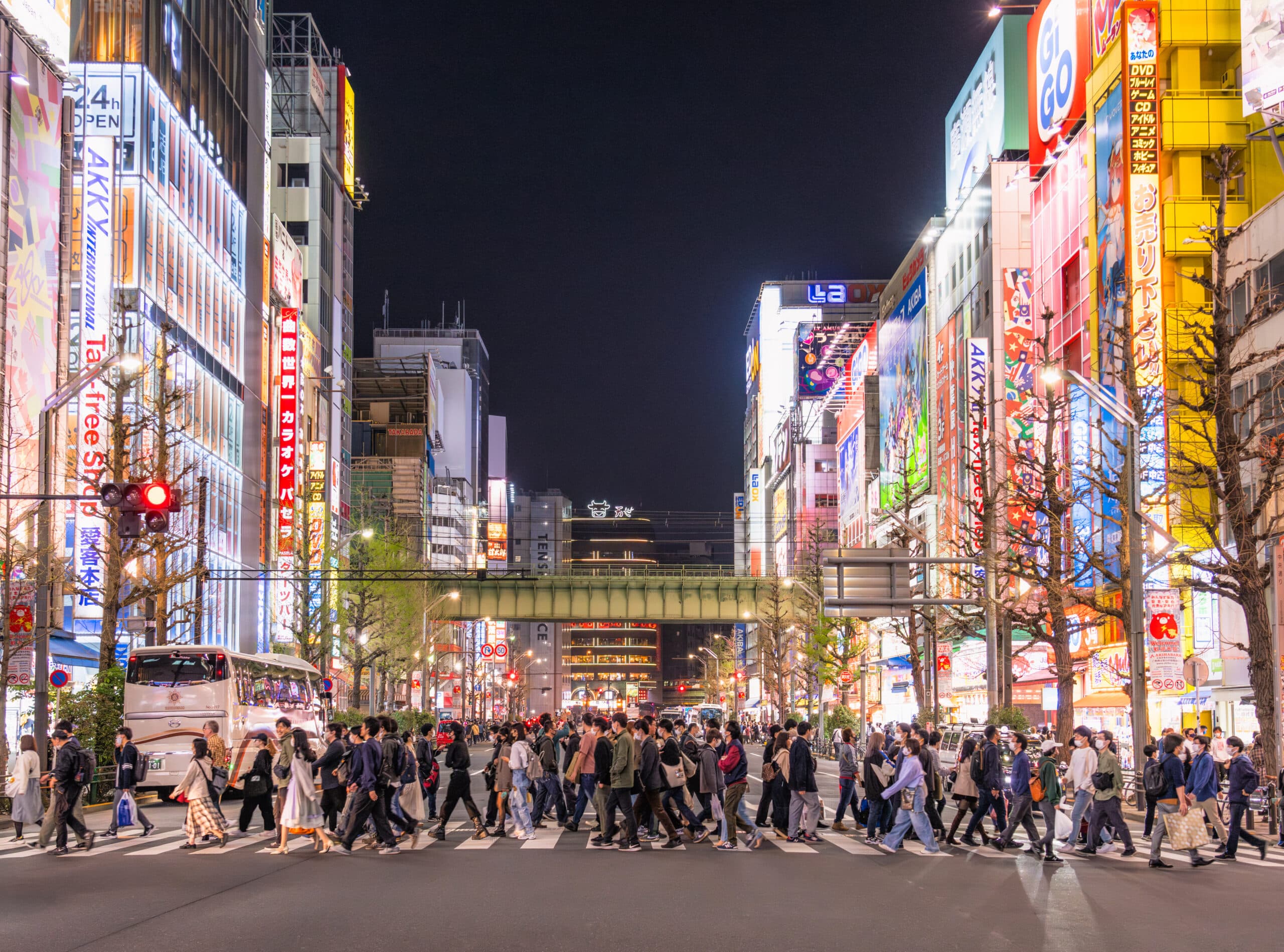 Japon-Tokyo-Akihabarabynight : Side view of people on a busy crosswalk in Akihabara, Tokyo, a district known for gaming, manga and youth culture.