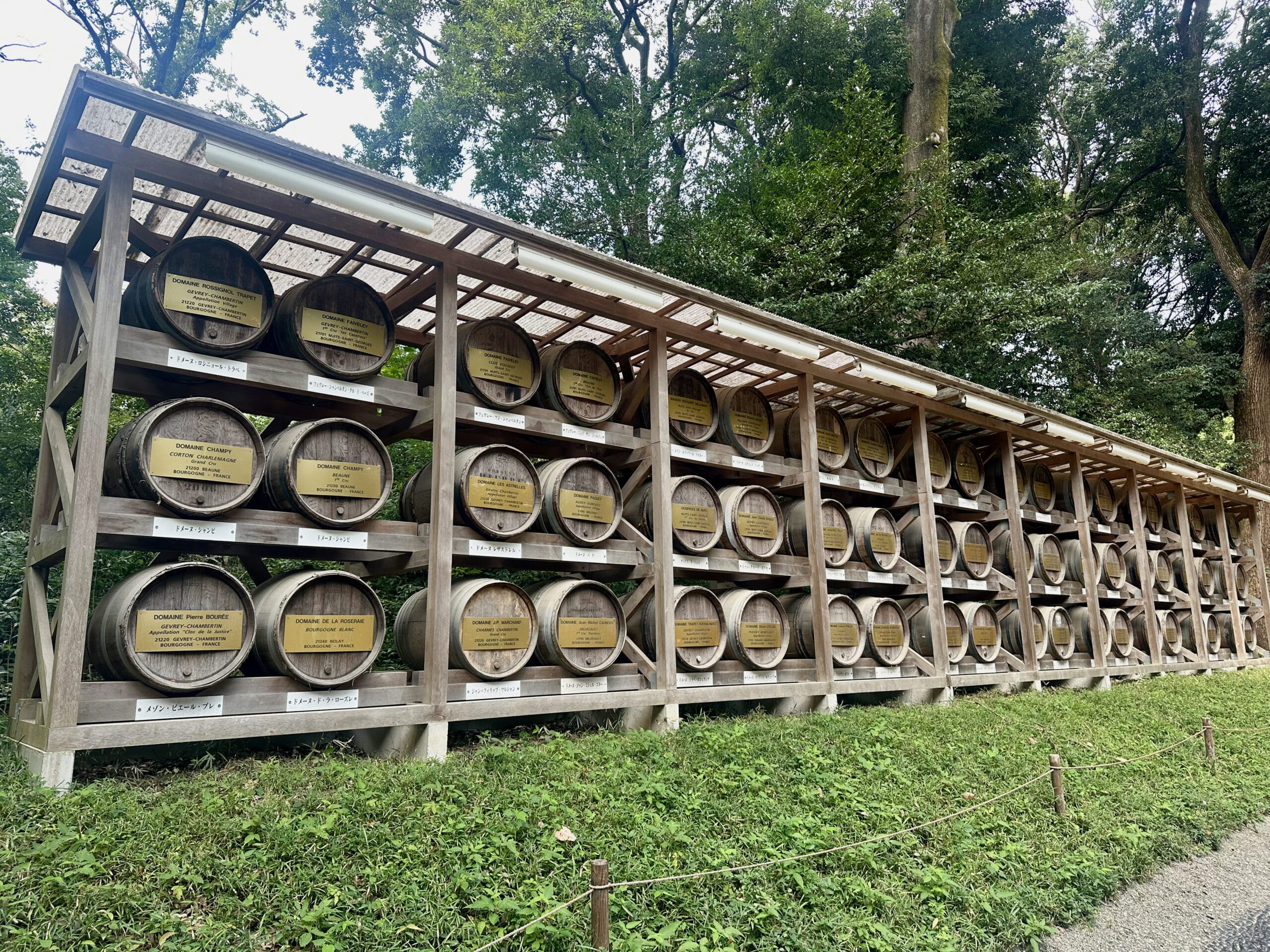 Japon-Tokyo-Meiji-jingu-Shibuya-Bourgogne-empereur-Meiji