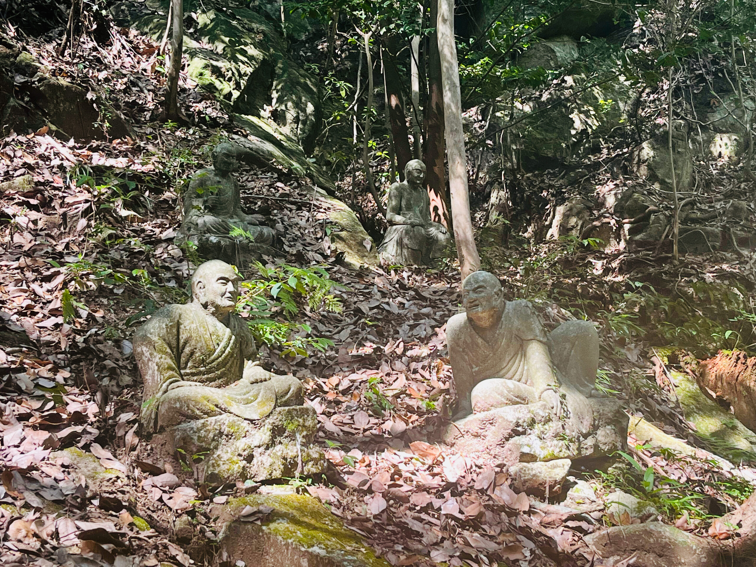 Japon-Hiroshima-Mitaki-dera-temple-zen-moine-foret-bouddhisme-Shingon-bouddhiste-zen