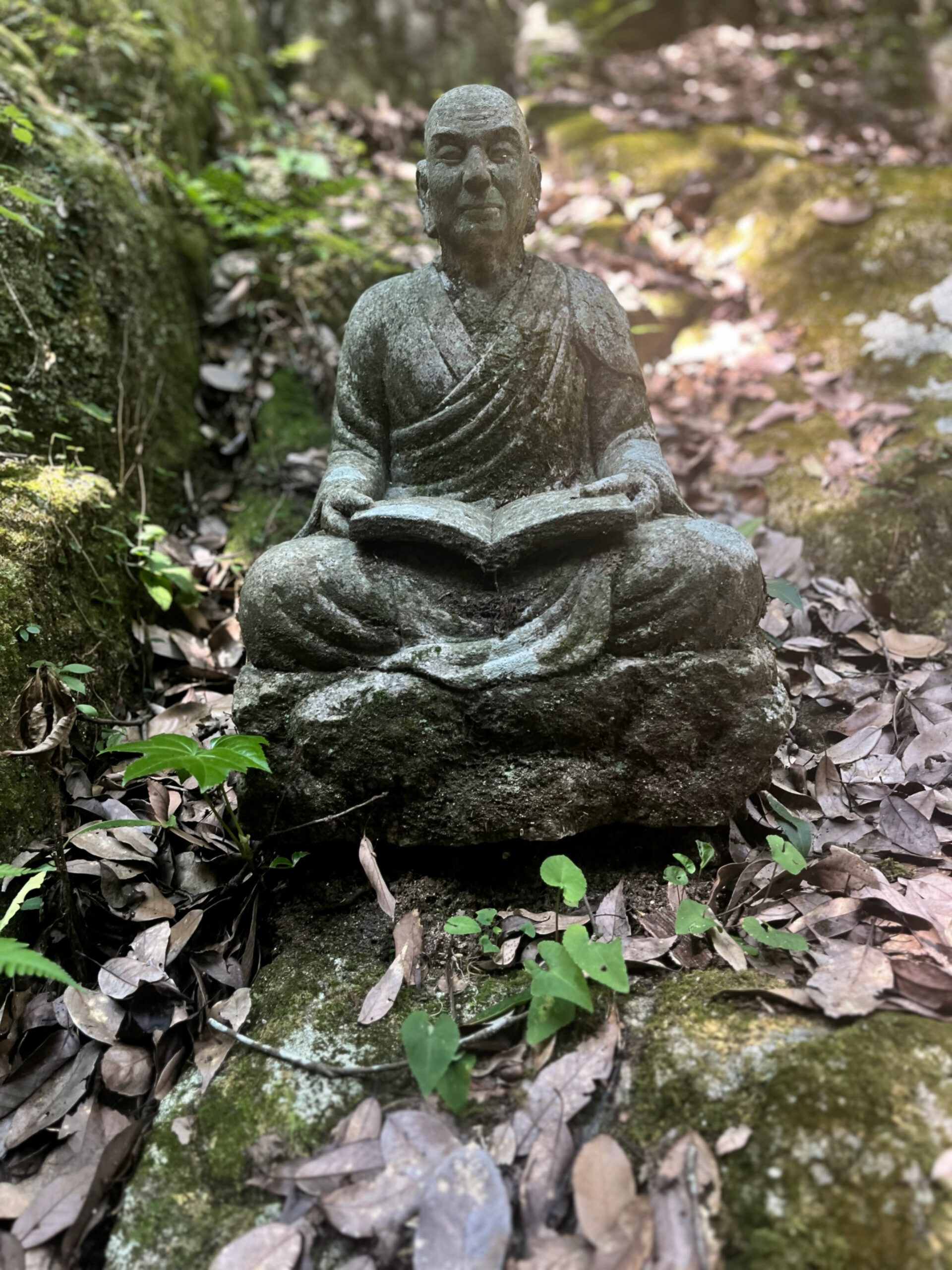 Japon-Hiroshima-Mitaki-dera-temple-zen-moine-sage-bouddhisme-Shingon-bouddhiste-zen